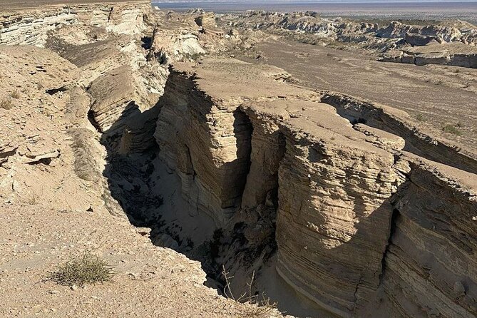 2 Days Private Tour To Aral Sea - Good To Know