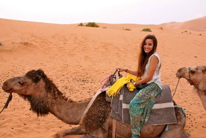 2 Days Trip in a Small Group From FEZ to FEZ Passing by MERZOUGA - Inclusions and Amenities