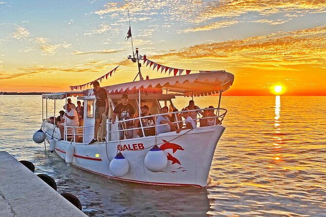 2-Hour Dolphin Guided Safari NP Brijuni Review - Key Points