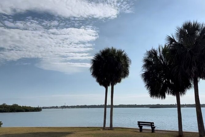 2 Hour Guided Kayak Tour in Boca Ciega Bay - St. Pete - Good To Know