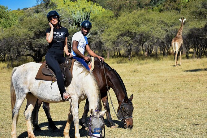 2-Hour Horseback Safari in Hartbeespoort - Good To Know
