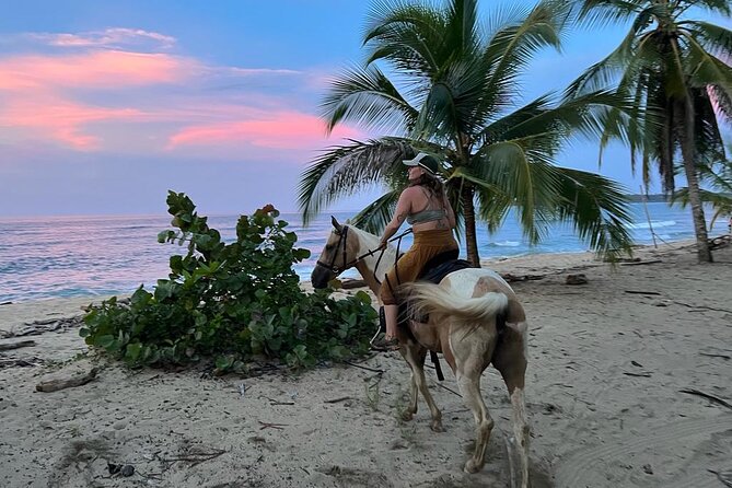 2 Hour Private Beach Horse Back Riding in Puerto Viejo - Good To Know