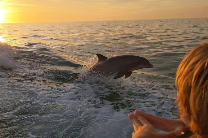 2 Hour Private Dolphin and Sightseeing Tour in Shell Island - Good To Know