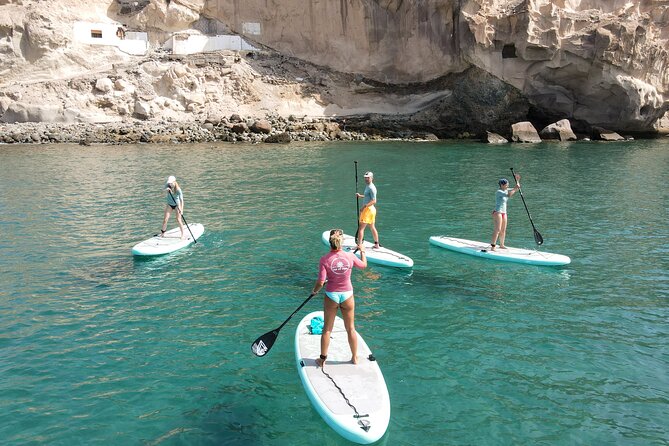 2 Hour Stand Up Paddle Lesson in Gran Canaria - Overview of the Activity