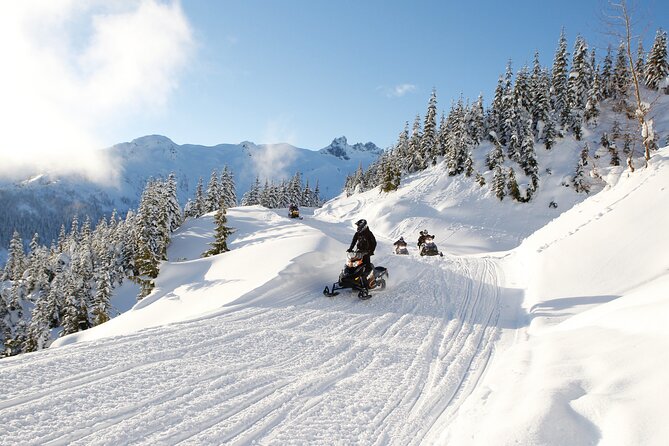 2 Hour Wilderness Adventure Snowmobile Tour in Whistler - Good To Know