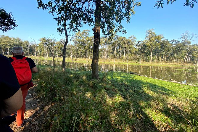 2 Hours Nature Walk in Chitwan National Park - Good To Know