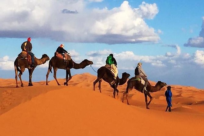 2 Night Camel Trekking in Merzouga Desert - Good To Know