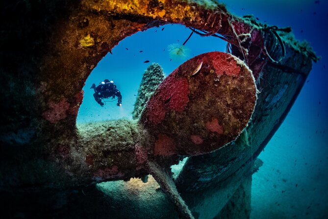 2 Scuba Fun Dives for Certified Divers in St Pauls Bay - Good To Know