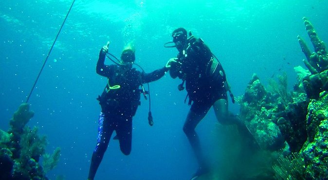 2 Tank Roatan Fun Dive, Boat Sightseeing Tour, Including Ground Transportation - Good To Know