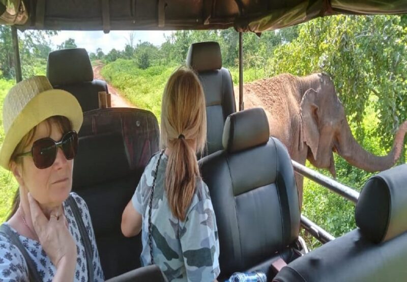 04 Days - CMB Airport, Kandy, Train Trip ,Visit Ella, Safari - Itinerary
