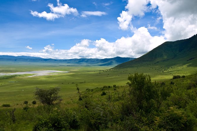 1 Day Joined Group Safari in Ngorongoro Crater National Park - Itinerary Highlights