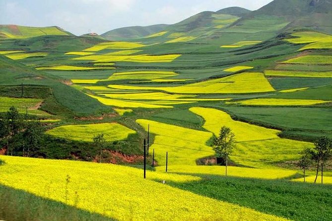 1-Day Longsheng Rice Terrace Tour From Guilin With Private Guide & Driver - Customer Reviews