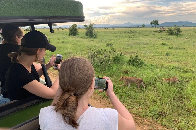 1 Day Safari to Mikumi National Park - Highlights of the 1 Day Safari