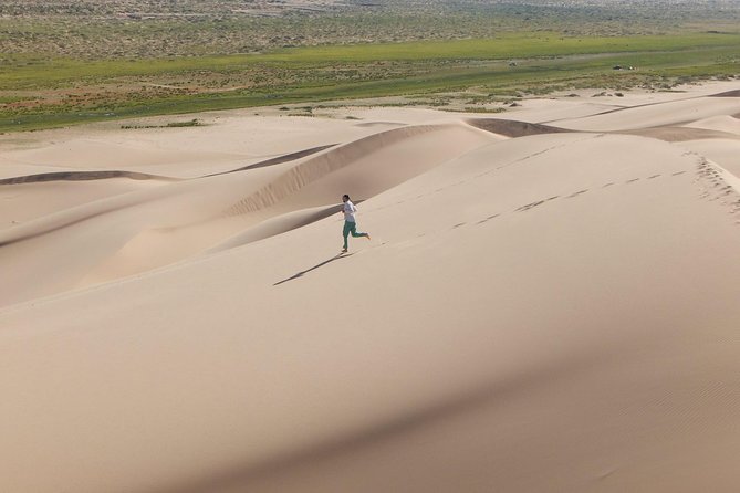 1 Day Semi-Gobi Tour Including Lunch And Free Camel +Bonus Khustai National Park - Inclusions and Amenities