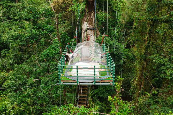1 Day Tree Climbing and Rappelling Experience With Accommodation - Climbing and Observation Platforms