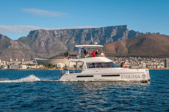 1 Hour Coastal Catamaran Cruise From Cape Town - Scenic Route Highlights