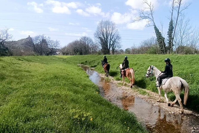 1 Hour Horseback Ride in Valgraziosa Review - Meeting and Pickup