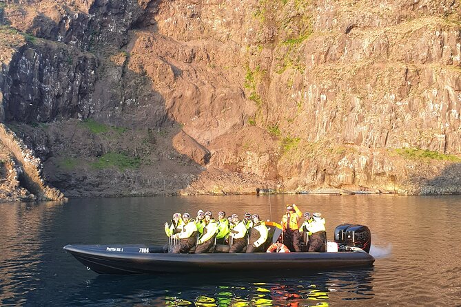 1 Hour Iceland Nature and Wildlife RIB Small Group Guided Safari - Tour Experience