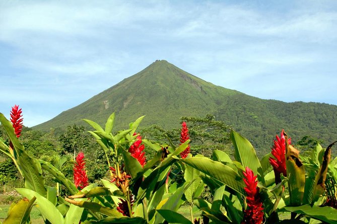 10 Days Essential Costa Rica - Package With Manuel Antonio National Park - Tortuguero National Park