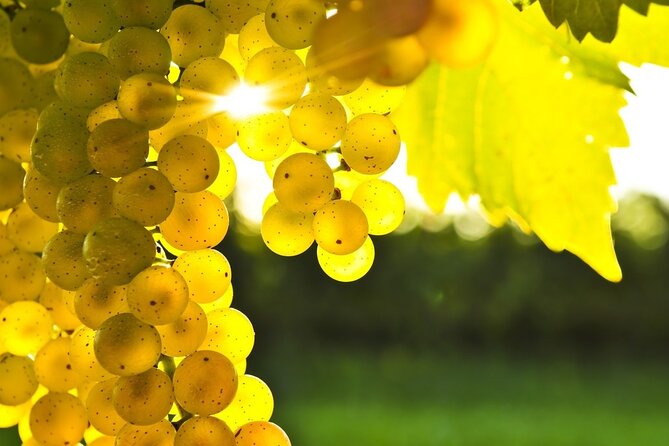11 Course Lunch Review: Cooking and Wine Tasting - Tour Inclusions