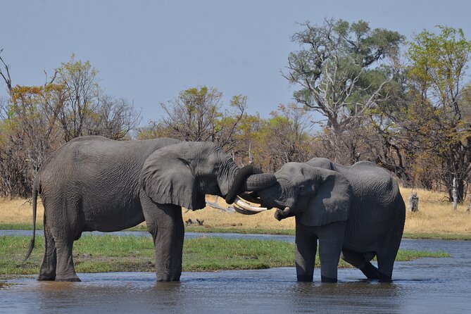 11 Days and 10 Nights Private Northern Explorer Tour - Accommodation and Dining