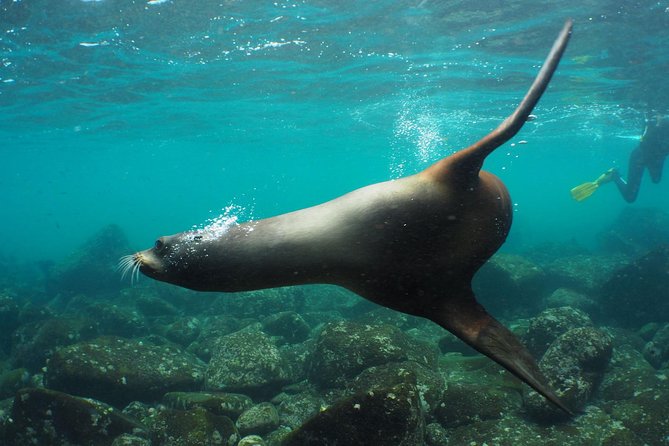 12-Day Galapagos Superior Adventure (Tourist Class) - Itinerary Highlights
