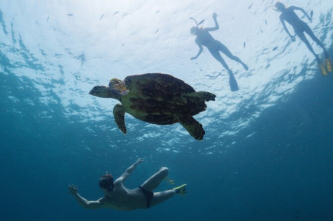12-Day Galapagos Superior Adventure (Tourist Superior Class) - Inclusions