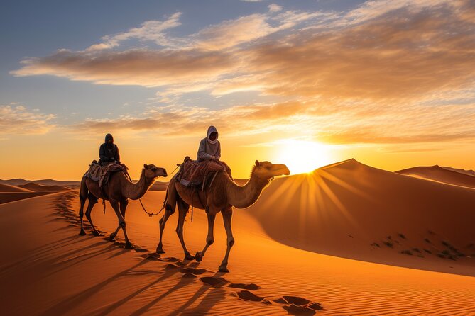 15 Days Morocco Private Grand Tour From North To South Starting From Casablanca - Discovering Fezs Historic Medina