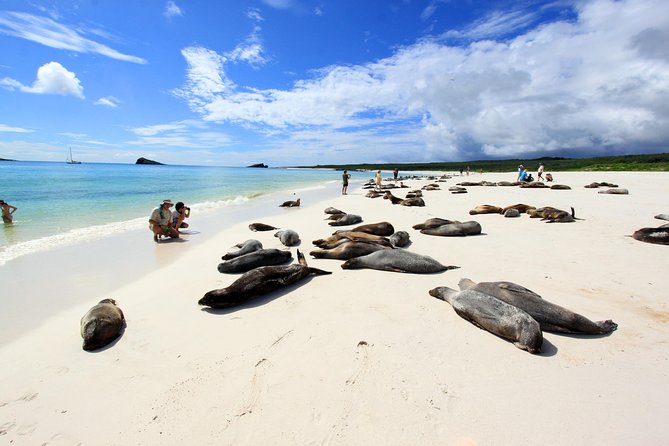 16-Day Ecuador Adventure: Andes, Amazon & Galapagos - Important Details