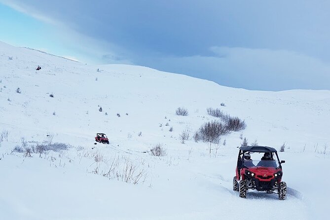 1hr Buggy Adventure & Golden Circle Tour From Reykjavik - Buggy Adventure Details