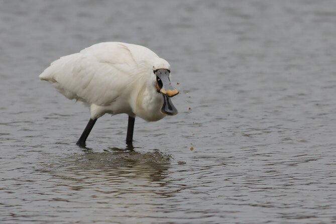2.5 Hours SightSeeing Tour in Beaulieu River - Inclusions
