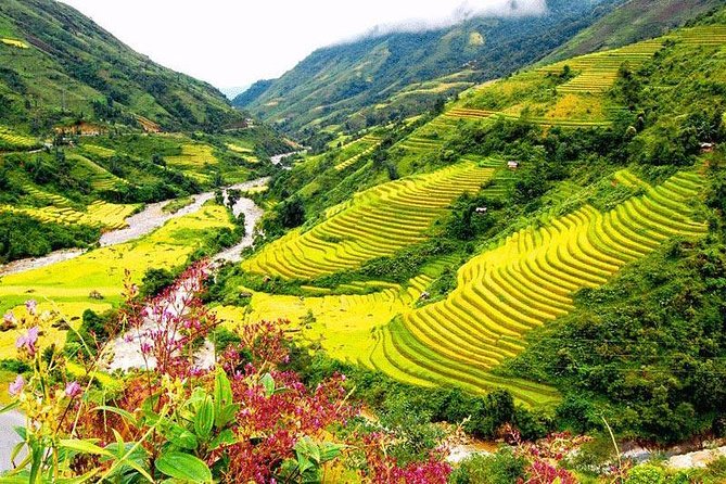 2-Day Amazing Sapa Trek With Sleeper Train From Hanoi - Overnight At Hotel - Included Services and Amenities