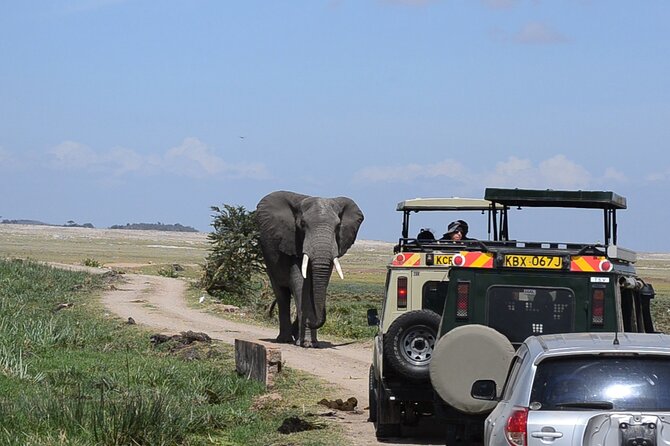 2-Day Amboseli Safari Witness Wildlife & Mt Kilimanjaro View - Wildlife Encounters