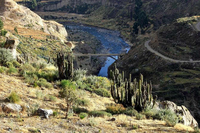 2 Day - Colca Canyon and Condor Tour From Arequipa, Peru - Group Service - Itinerary Details