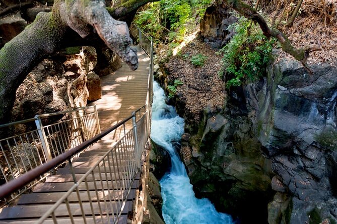 2-Day Northern Israel Tour From Jerusalem: Golan Heights, Nazareth and the Sea of Galilee - Exploring the Golan Heights