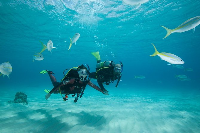 2 Day PADI Scuba Diver Course in Puerto Rico, Gran Canaria - Meeting and Pickup