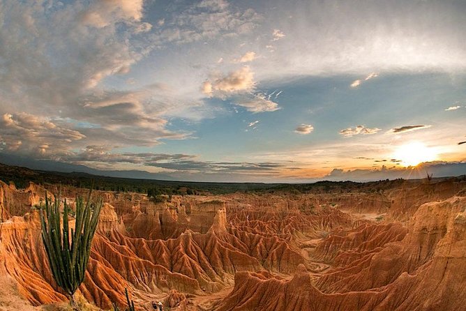 2-Day Private Tour to the Tatacoa Desert From Bogotá - Food and Beverages