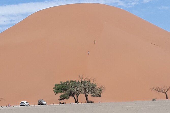 2 Day Scenic Sossusvlei Adventure Tour in Namibia - Inclusions