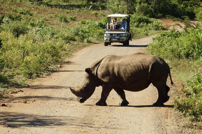 2 Day South African Wildlife Tour With 4x4 Safari From Cape Town - Wildlife Highlights