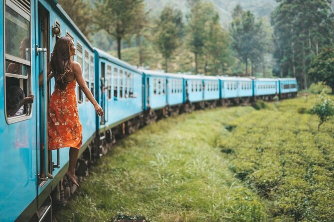 2 Day Tour of Yala & Ella With Hill Country Scenic Train Ride - All Inclusive - Inclusions of the Tour