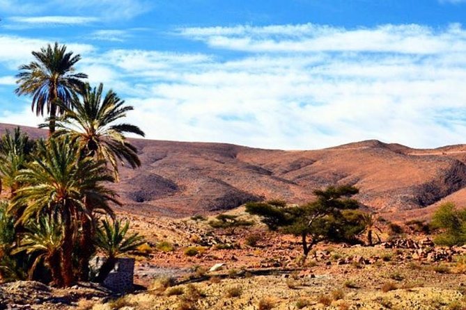 2 Days 1 Night Amazing Zagora Desert Tour From Marrakech - Itinerary Breakdown