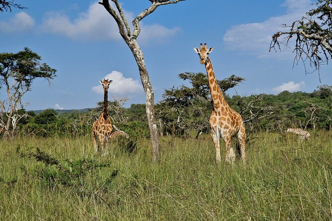 2 Days Cycling Safari To Lake Mburo National Park - Itinerary Highlights