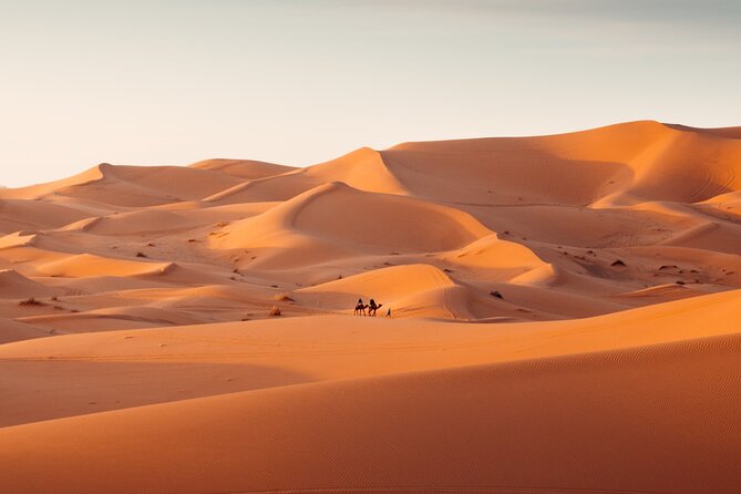 2 Days Desert Private Luxury Couples Retreat Camel Trek + Quad - Meeting Location