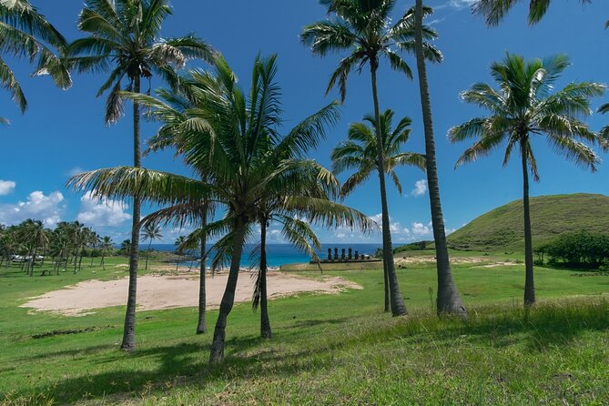2 Days Highlights Tour in Easter Island Moai and Nature - Positive Customer Experiences