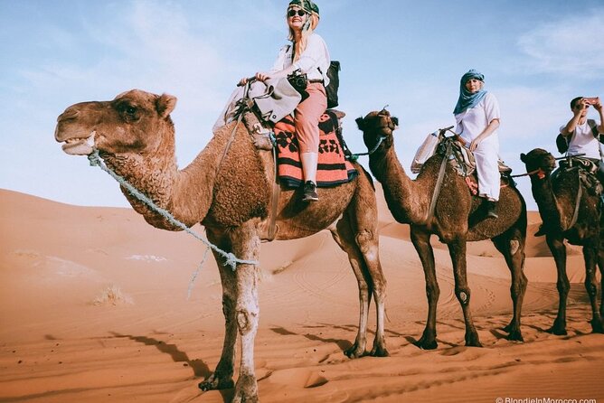 2 Days Luxury Desert Trip [Fes to Fes or Marakech] - Unique Experiences