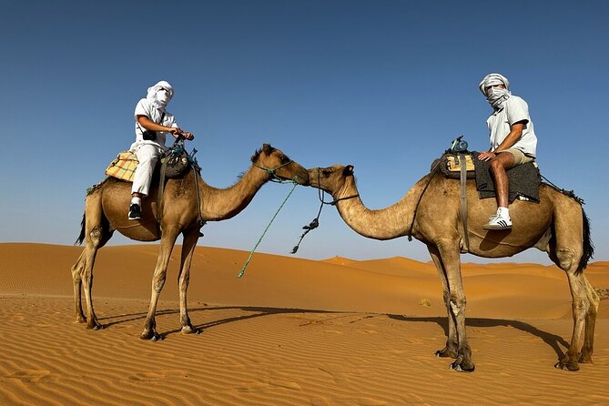 2 Days Luxury Magic Morocco Desert Tour From Fes To Fes - Itinerary Overview
