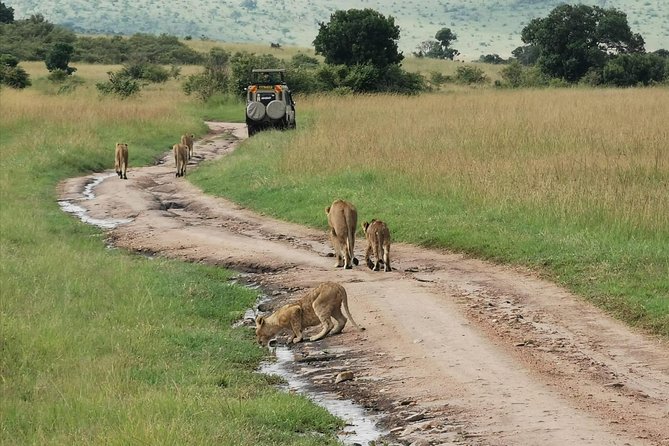 2 Days Maasai Mara National Reserve Safari From Nairobi - Accommodation and Meals