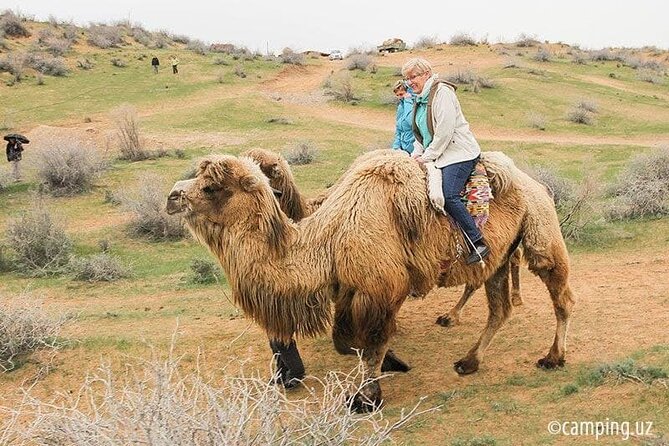 2 Days of Tour in Yurt Camp and Aydarkul - Highlights of Yurt Camp