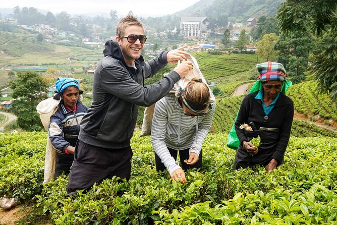 2 -Days Private Tour to Nuwara Eliya From Colombo - Day 1 Itinerary