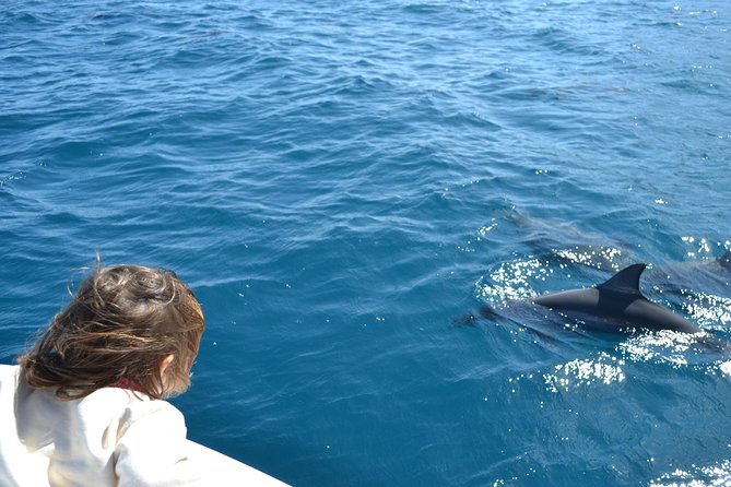 2-Hour Dolphin Excursion in Mauritius - Tour Itinerary and Schedule
